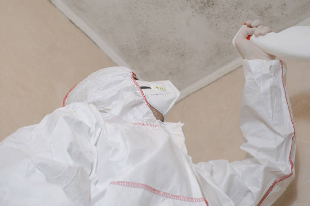 Best Mold Testing  in Ridgetop, TN
