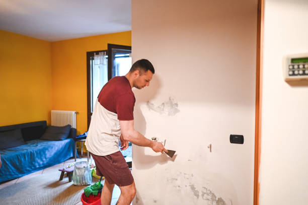 Best Residential Mold Removal  in Ridgetop, TN