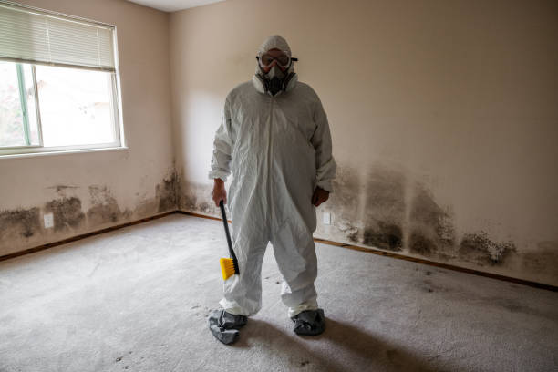 Best Mold Removal and Inspection  in Ridgetop, TN