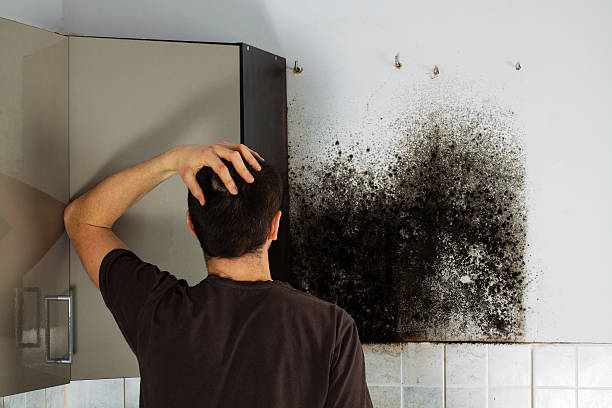 Best Home Mold Removal  in Ridgetop, TN